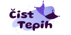 čist tepih logo