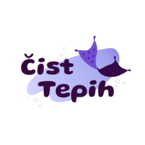 čist tepih logo